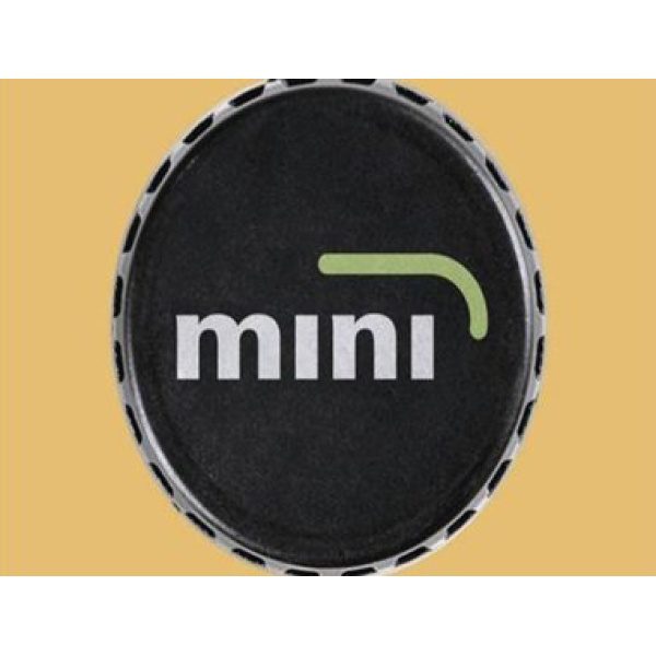 mini lock logo